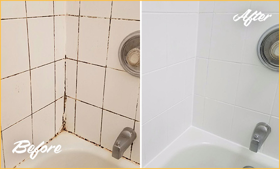 Before and After Picture of a Palm Bay Shower Tile and Grout Cleaned to Eliminate Mold