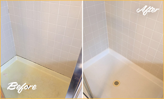 Before and After Picture of a Sebastian Shower Sealed to Remove and Protect Against Mold