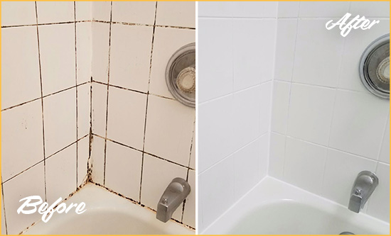 Before and After Picture of a Grant-Valkaria Tub with Sealed Grout to Eliminate Mold