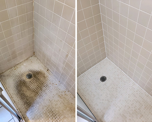 Shower Walls and Floor Before and After a Tile Cleaning in Titusville